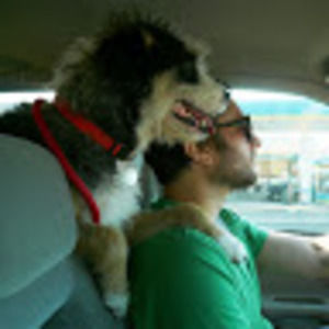 Meet your Posher, Derek